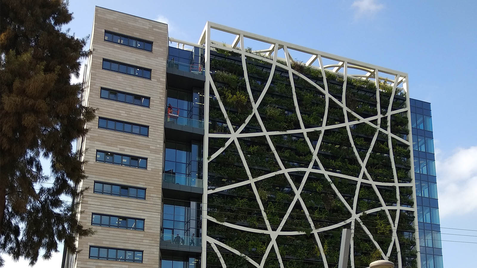 קיר ירוק במטה חברת צ'ק פוינט בתל אביב. משפר את המאזן האנרגטי של הבניין (צילום: דוד שי/ויקימדיה קומונס)