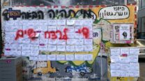 די לרצח נשים. "זאת שאלה של כסף וסדר עדיפויות. רק צריך שלמישהו יהיה אכפת" (צילום: דבר)