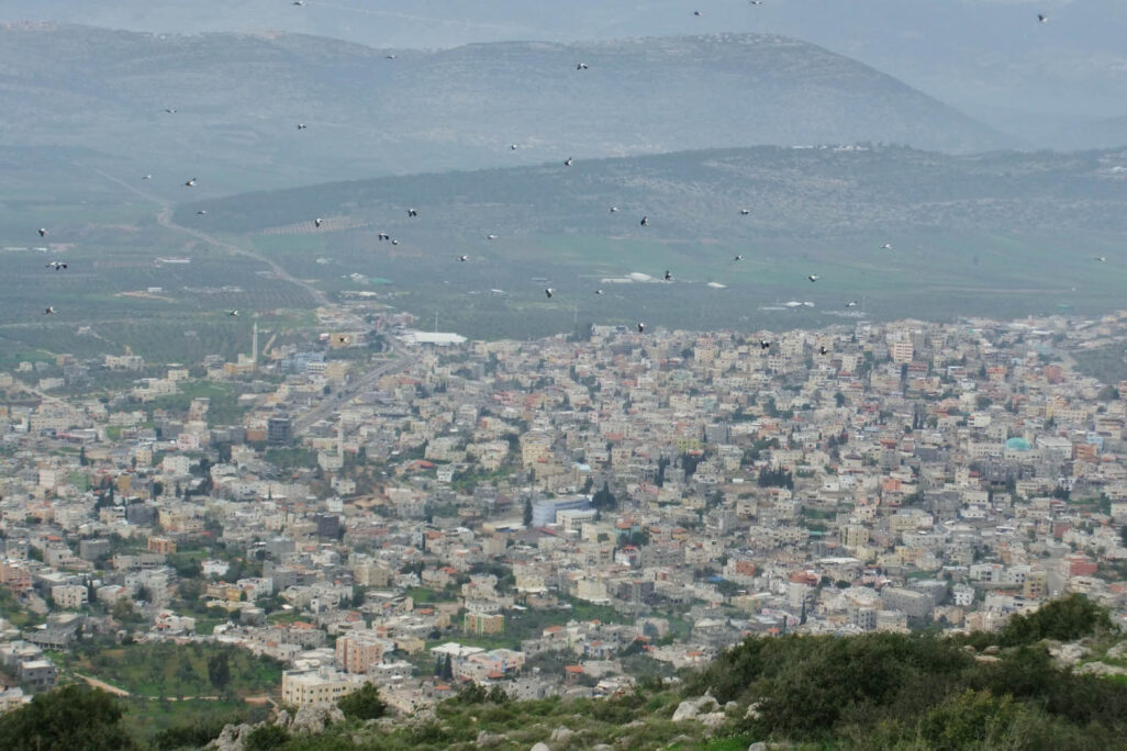 עראבה (צילום: יעקב/ויקימדיה) עראבה (צילום: יעקב/ויקימדיה)