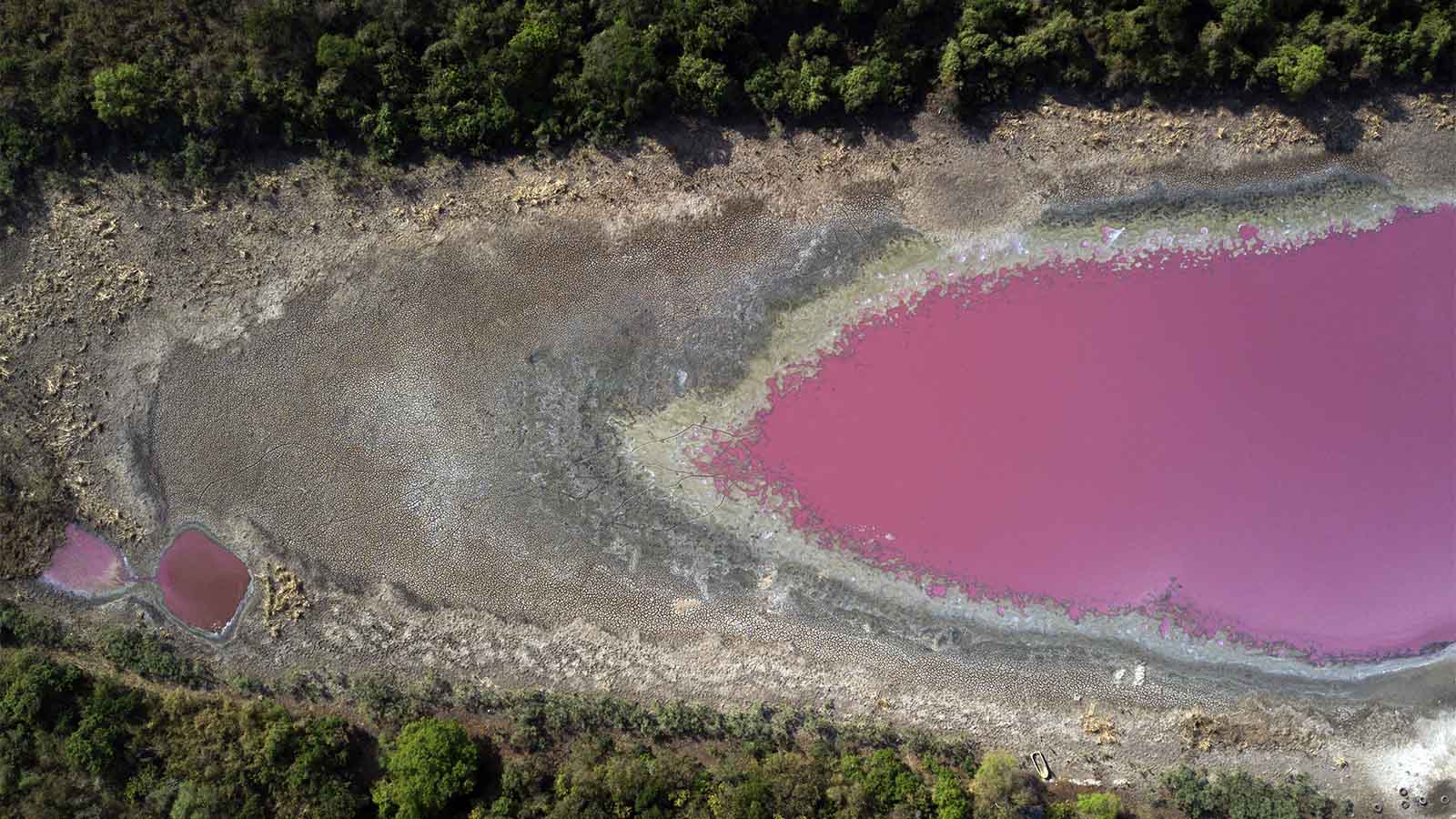 לגונת Cerro יבשה ווסדוקה מבצורת ממושכת, המחזיקה מים סגולים עקב פסולת לא מטופלת של חברת שיזוף בלימפיו. פרגוואי, 21 באוקטובר 2020. (צילום: AP/Jorge Saenz)
