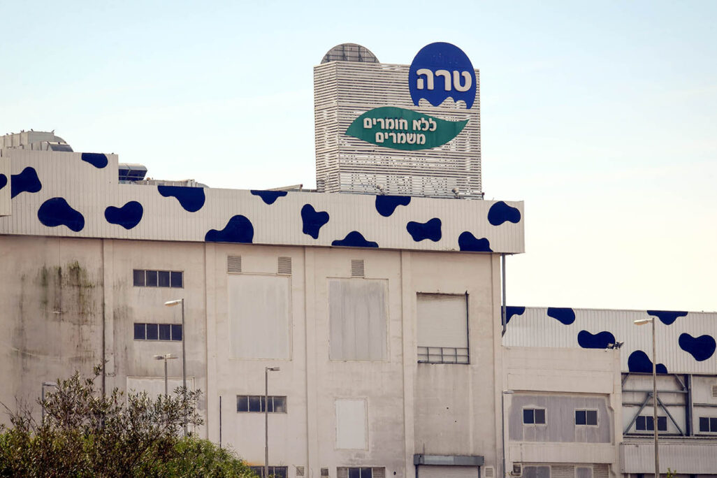 מפעל טרה בנתיבות (צילום: פלאש 90)
