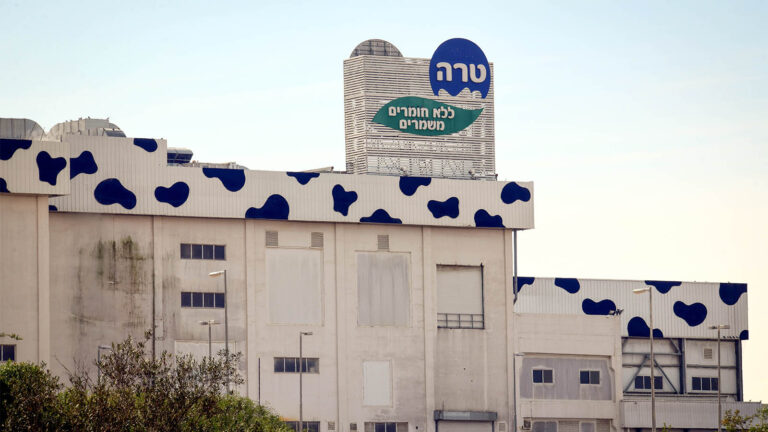 The Tareh Dairy in Netivot. (Photo: Flash90)