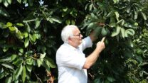 שר החקלאות לשעבר אלון שוסטר (צילום: לשכת השר)