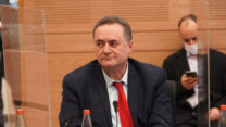 ישראל כ"ץ בדיון ועדת הכספים (צילום: דני שם טוב, דוברות הכנסת)