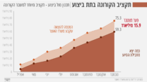 תקציב הקורונה בתת ביצוע - חודש נובמבר (גרפיקה: אידאה)