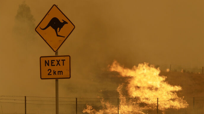 שריפה בבומבלונג, דרומית לבירת אוסטרליה, פברואר 2020. (צילום: AP Photo/Rick Rycroft)