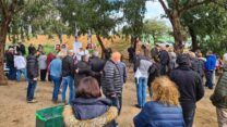 מפגינים באנדרטת 'חץ שחור' סמוך לרצועת עזה (שי ניר)