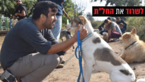 אדיר נחום: "אני לא רואה איך נוכל להסתדר ככה לאורך זמן" (צילום: יובל אסיהו)