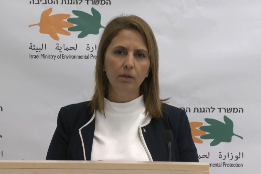 גילה גמליאל במסיבת עיתונאים (צילום מסך: לע"ם) גילה גמליאל במסיבת עיתונאים (צילום מסך: לע"ם)