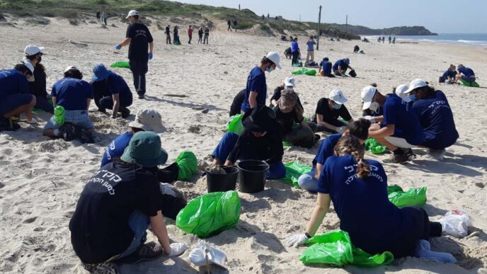 متطوعون في تنظيف وإزالة القطران (الزفتة) من الحديقة الوطنية شاطئ بلماحيم (تصوير: زيف بيرمان سلطة الطبيعة والحدائق)