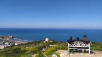 סטלה מאריס (צילום: יהל פרג')