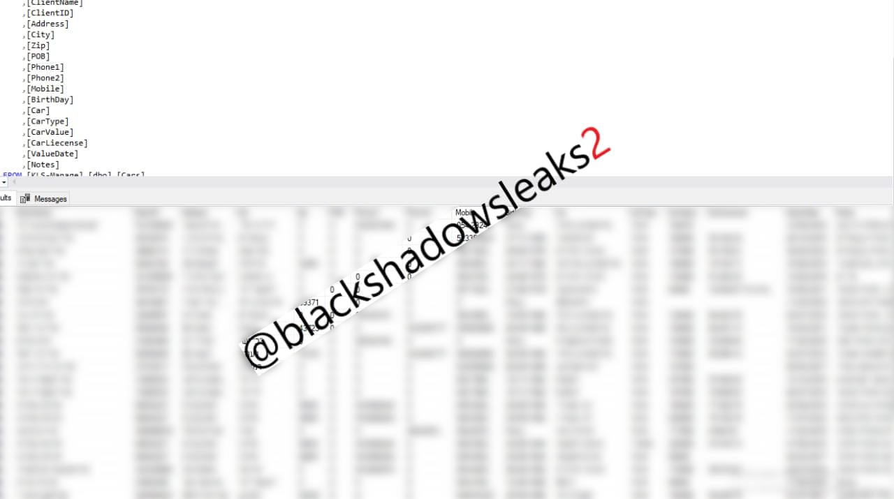 רשימת לקוחות ק.ל.ס קפיטל בע&quot;מ שהודלפה לרשת (צילום: קבוצת טלגרם Black Shadow)