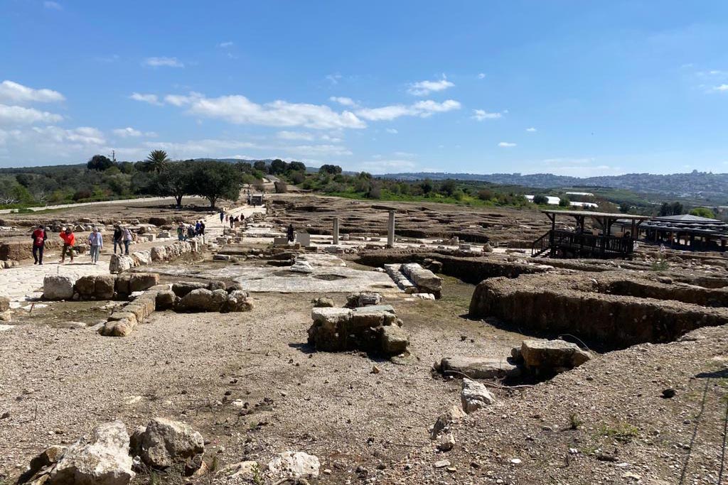 עתיקות ציפורי (צילום: יעל אלנתן) עתיקות ציפורי (צילום: יעל אלנתן)