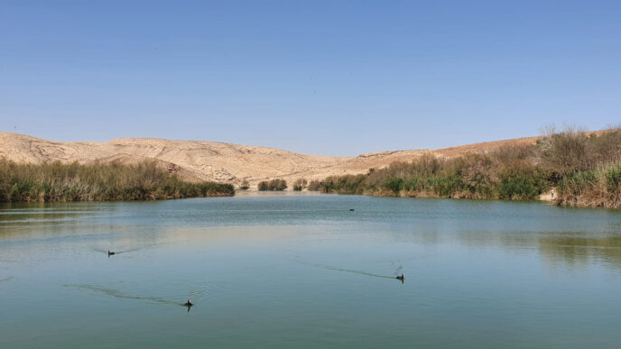 אגם ירוחם (צילום: טל כרמון)