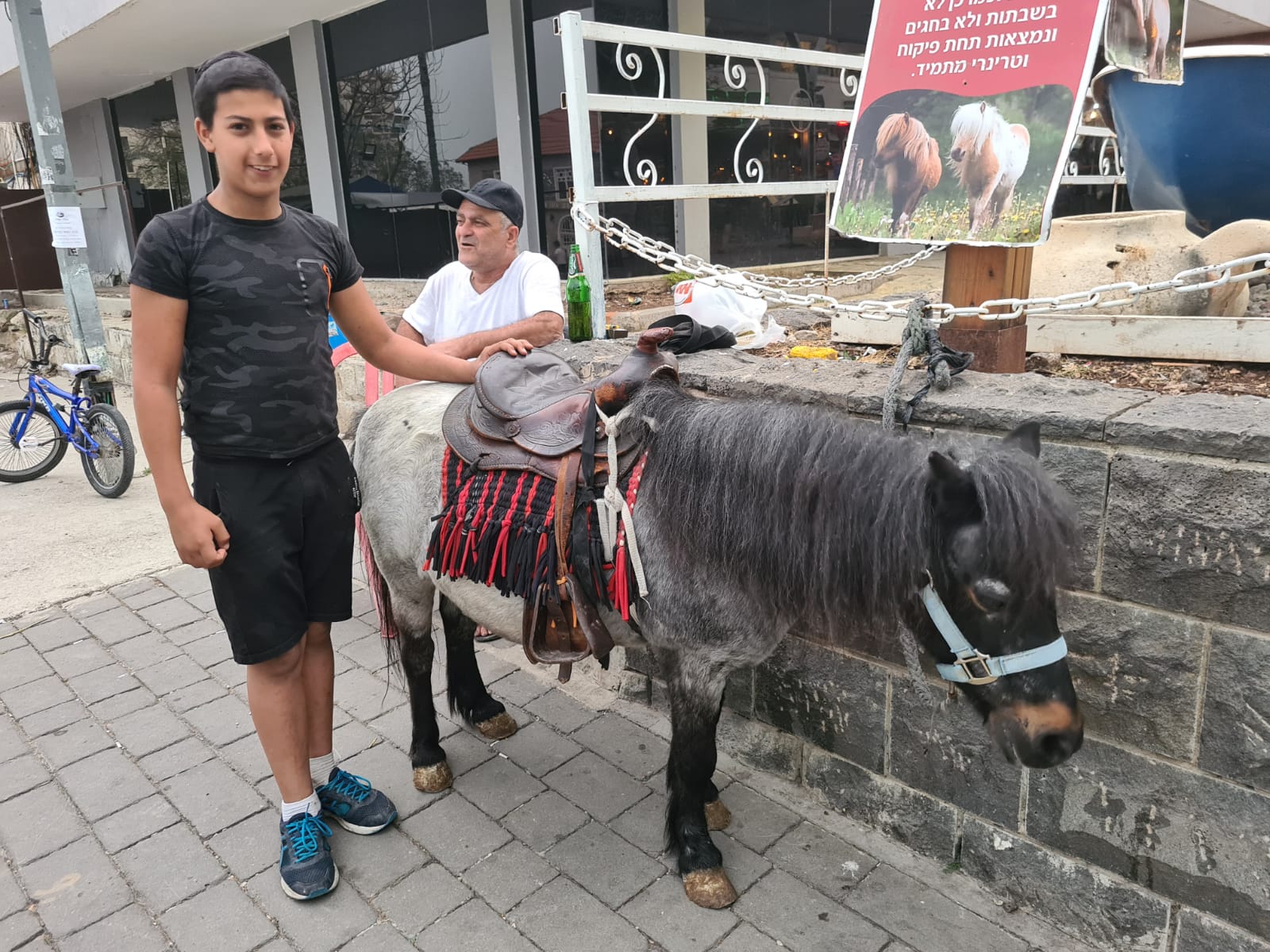 מיכאל ובנו דוד עם סוס פוני להשכרה בטיילת בטבריה (צילום: דפנה איזברוך)