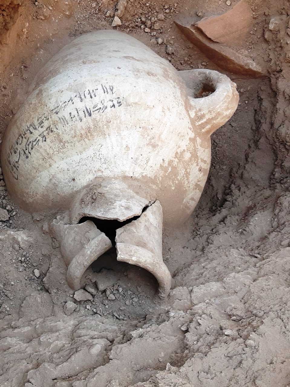 כלי חרס שהתגלה במצרים (צילום: רויטרס)