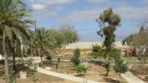 את גדר הגבול ניתן לראות כמעט מכל נקודה בקיבוץ כרם שלום. "כדי לחיות במקום כזה חייבת להיות קהילה חזקה" (צילום: הדס יום טוב)