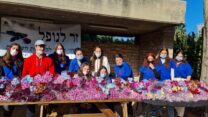 מבצע "זר לנופל" בנחלת יצחק, תל אביב. החניכים הגיעו ל-130 בתי עלמין ברחבי הארץ (צילום: דוברות הנוער העובד והלומד)