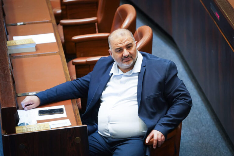 ח"כ מנסור עבאס בדיון במליאת הכנסת. "הובלנו תהליך שהוביל לשינוי במגמה" (צילום: דוברות הכנסת – נועם מושקוביץ')