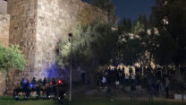 (צילום: דוברות המשטרה)