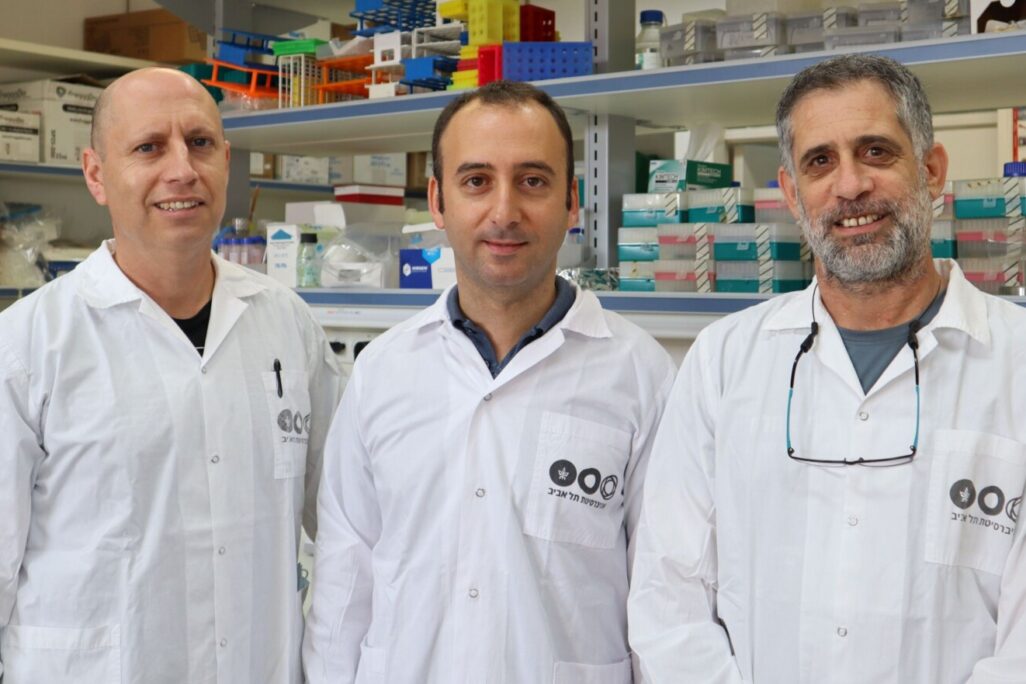 פרופ' מוטי גרליץ (מימין), ד"ר דן ימין, פרופ' אריאל מוניץ (צילום: אוניברסיטת תל אביב)