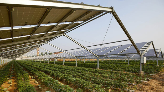 מתקן לייצור אנרגיה סולרית מעל שדה. ייצור אנרגיה מוגבר בשעות היום (צילום: Shutterstock)