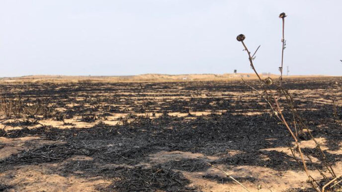 שריפת שדות חקלאיים של קיבוץ נירים על ידי בלון תבערה. (צילום: אמיר דגן)