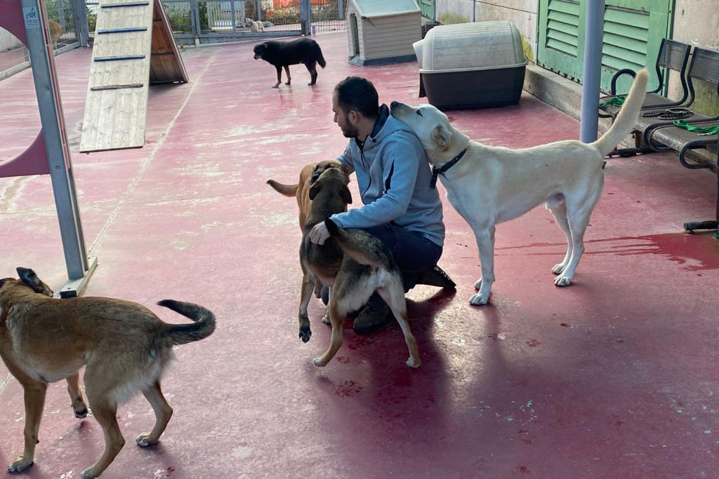 ידין אטיאס, מאלף כלבים ועובד בכלביה העירונית באשקלון. (צילום: אלבום פרטי)