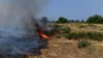 שריפה שפרצה בעוטף עזה לאחר נפילת רקטה (צילום: תומר ניוברג/פלאש90)