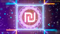 סימן שקל דיגיטלי (צילום אילוסטרציה: Shutterstock)