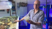 גיא פז, מעבדת האלמוגים, המכון לחקר ימים ואגמים (צילום: יעל אל נתן)