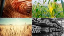 חומרי גלם (צילום: shutterstock)