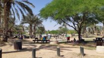 גן לאומי פארק הבשור (צילום: אורן אחרק רשות הטבע והגנים)