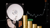 Chia Coin (צילום אילוסטרציה: Shutterstock)