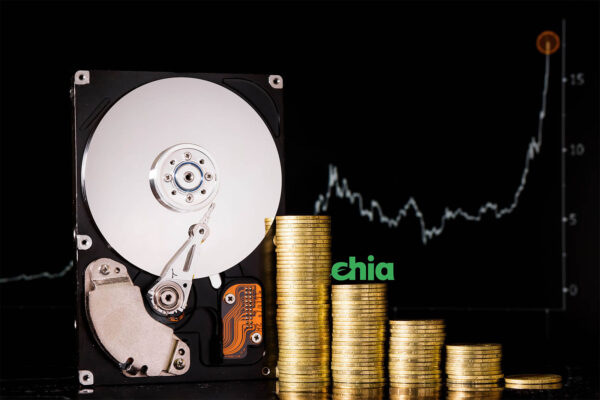 Chia Coin (צילום אילוסטרציה: Shutterstock)