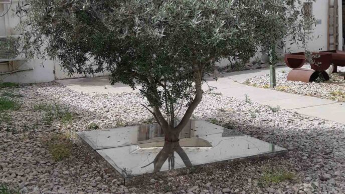 הפסל &quot;עצי הזית יהיו גבולותינו&quot; בגבעת חביבה (צילום: מיכאל יעקובסון)