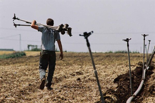חקלאי ישראלי מחבר ממטרות בשדה (צילום אילוסטרציה: גילי יערי/פלאש90)