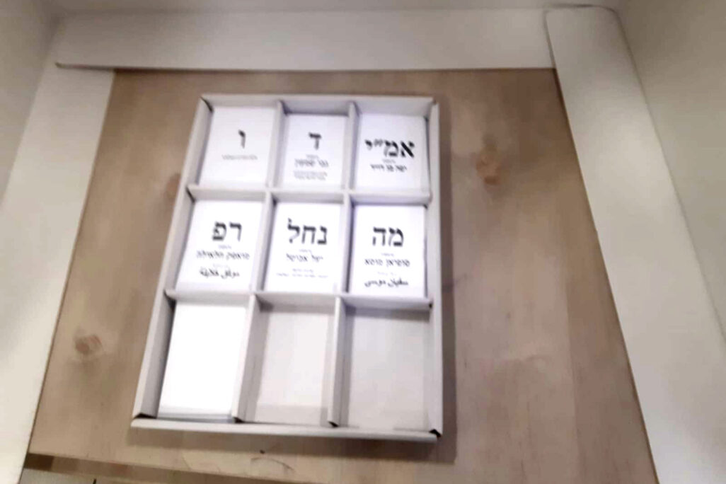 הבחירות להסתדרות המורים (צילום: מיכל מרנץ)