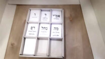 הבחירות להסתדרות המורים (צילום: מיכל מרנץ)