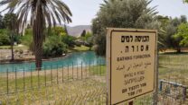נחל האסי בניר דוד (צילום ארכיון: יהל פרג')