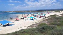 הגן הלאומי אכזיב (צילום: מריאן סגל רשות הטבע והגנים)