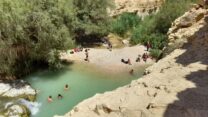 נחל ערוגות (צילום: ג'ומעה חמייסה רשות הטבע והגנים)
