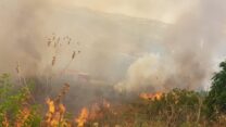 שריפה בירושלים (צילום: דוברות כב"ה י-ם)