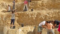 החפירות באתר בוקר תחתית (צילום: אליזבטה בוארטו, מכון ויצמן למדע)