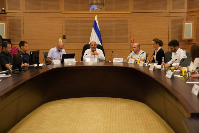 הוועדה לענייני החברה הערבית. "האתגר הוא לגבש את תכנית 923 ולהיכנס לתחומים שלא טופלו" (צילום: דוברות הכנסת, דני שם טוב)