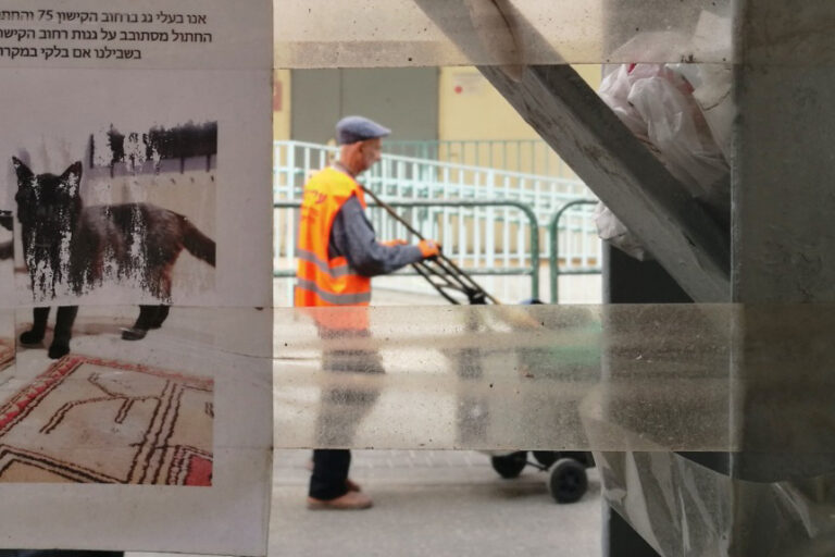 “It is incredibly hot right now during the summer, yet the construction workers and street cleaners continue to work. As a society, collectively, this is something we just do not give any attention to” (Photo: Davar)
