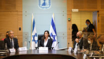 ועדת העבודה והרווחה. "לכו לאבן גבירול בתל אביב, תראו כמה ילדים גונבים רמזורים ונוסעים ב-90 קמ"ש" (צילום: דוברות הכנסת, נועם מושקוביץ)