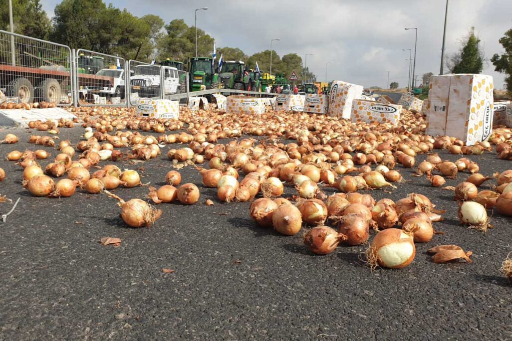 בצלים הושלכו על הכביש בצומת גילת, בהפגנת חקלאים נגד רפורמת הייבוא (צילום: חקלאי ישראל - מטה המאבק)