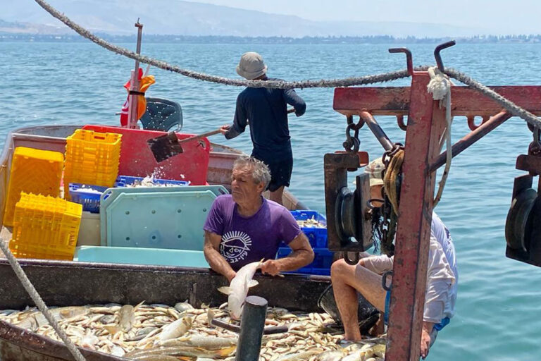 Menachem Lev and a variety of fish. “The Kinneret is very healthy. Everything is alive.” (Photo: Yael Elnatan)