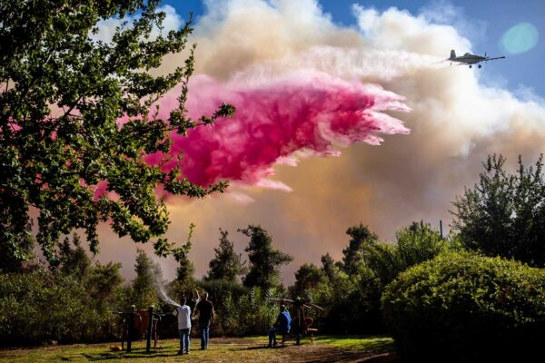 טייסי קליר קאט תעופה סייעו גם בשריפות של יוון לפני שבועיים (צילום: יונתן זינדל/פלאש 90)